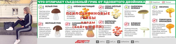 каннабис Баксан