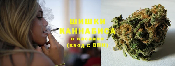 индика Балахна