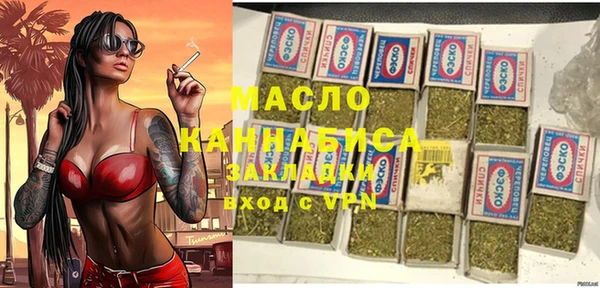 индика Балахна