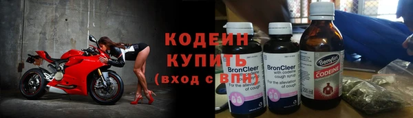 индика Балахна