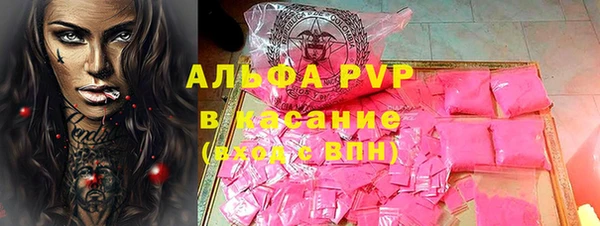 индика Балахна