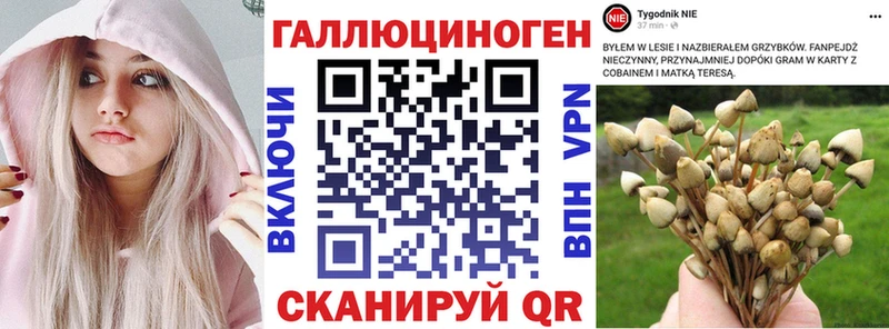 Псилоцибиновые грибы MAGIC MUSHROOMS  Корсаков 