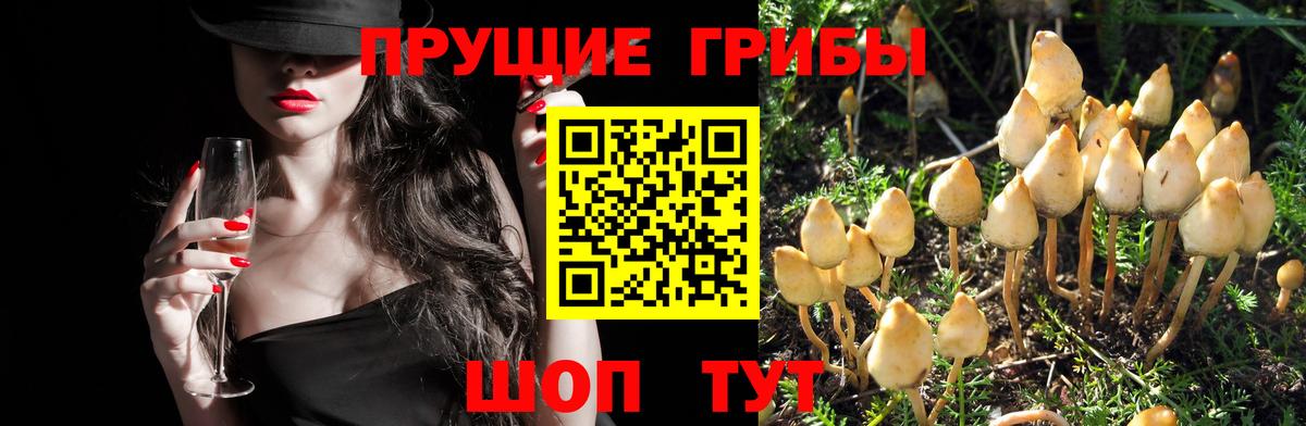 Галлюциногенные грибы MAGIC MUSHROOMS  как найти закладки  Псилоцибиновые грибы ЛСД  Корсаков  Вход с VPN 